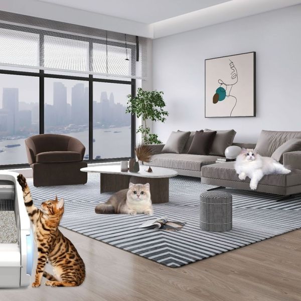 Odor Absorption Waterproof Smart Pet Litter Box Machine Self Cleaning For Cat