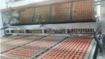 Pure Apple Gummy Production Line 100Kg/H Fruit Jelly Gum Candy Production Line