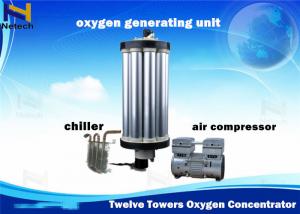 Wholesale Twelve Towers PSA Oxygen Concentrator Parts Gas Equipments Type Repair 3 - 15L from china suppliers