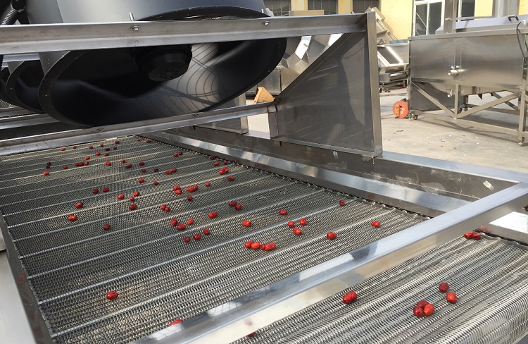 Hotels Industrial Drying Equipment For Fruits And Vegetables Fast Drying