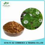 Best Anti- cancer Effect Blushwood Berry Fruit Extract with EBC-46
