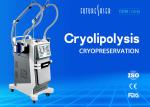 Skin Freeze Cryolipolysis Slimming Machine , Double Handle Fat Reduction