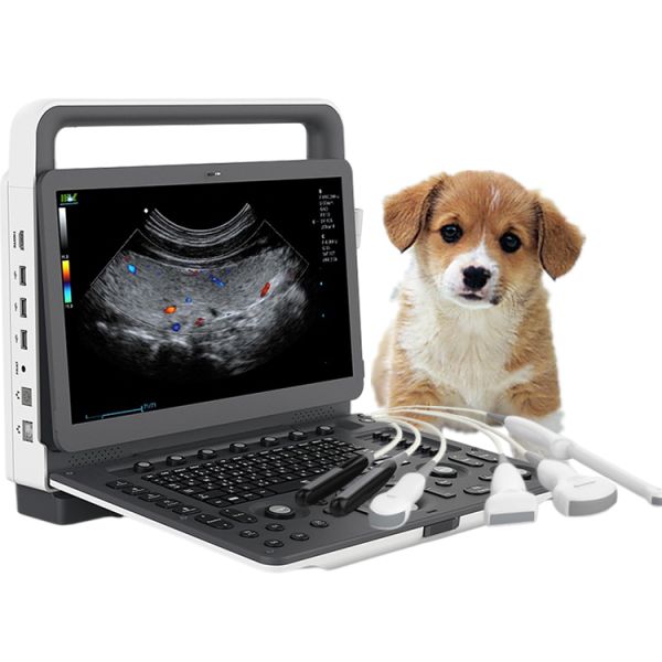 Best Price CW, TDI , PDI Handheld Portable Ultrasonido 3D 4D Veterinary Doppler Ultrasound Machine