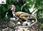 Outdoor Moving Velociraptor Life Size Model For Garden Display / Festival
