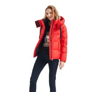 China FODARLLOY 2022 High Quality Warm Hooded Lady Thin Cotton-padded Jacket Women Coat Lightweight Luxury Down Foldable Jacket on sale