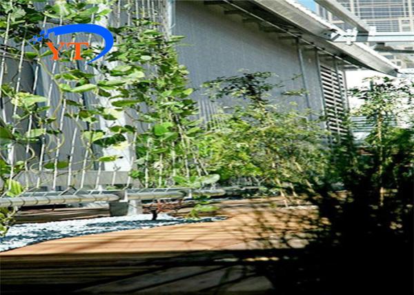 2.0mm SUS304 Stainless Steel Woven Wire Mesh Cable Netting 100x100mm For Plant