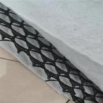 HDPE Composite Geonet Plastic Geocomposite for Drainage and Protection