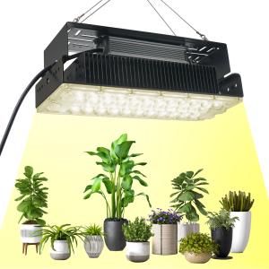 Wholesale 100w Indoor 5x5 Grow Light For Indoor Garden Succulents Plants SMD3030 from china suppliers