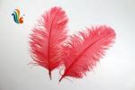 40-45cm Ostrich Feather Plumes For Event Party Supplies Decorations