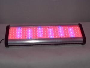 Wholesale intelligent dimming sunrise and sunset simulation pt 250w led coral reef aquarium lamps from china suppliers