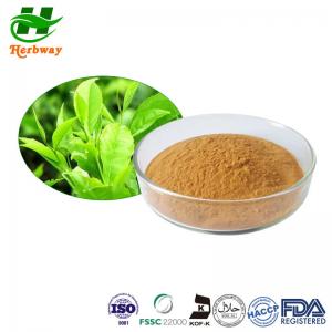 Wholesale 50% EGCG Green Tea Leaf Extract Powder For Reducing Blood Lipid from china suppliers