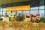 Interactive Animatronic Ride Dinosaur Display For Entertainment Mall