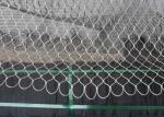30*30 Stainless Steel Aviary Netting PVC Coated Aviary Fencing Mesh