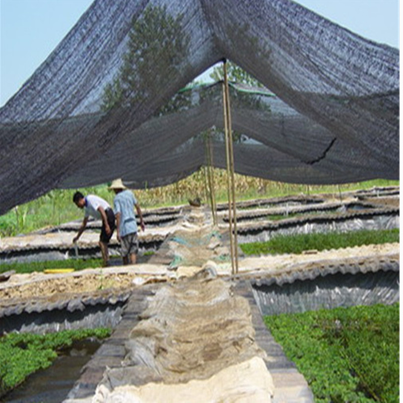 Agriculture HDPE Sun Shade Cloth , Greenhouse Shade Net 30%-90% Shade Rate