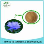 China Manufacturer Blue Lotus Extract/Dried Blue Lotus Flower Extract/GMP Blue