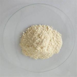 Wholesale 50% garcinia cambogia extract pure for loss weight from china suppliers