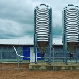 Wholesale High Stable Prefabricated Light Steel Structure Farm Sheds Poultry House Building from china suppliers