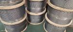 7x19 316 3mm Blue Strand Marine Fishing Stainless Steel Wire Rope for Hanging
