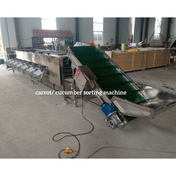 Carrot Sorting Machine, Carrot Grading Machine, Carrot Calibration