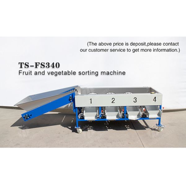 Tangerine passion fruit avocado cherry Mango pear banana mangosteen kiwi fruit Inspecting Grading Transporting processing production Fruit and