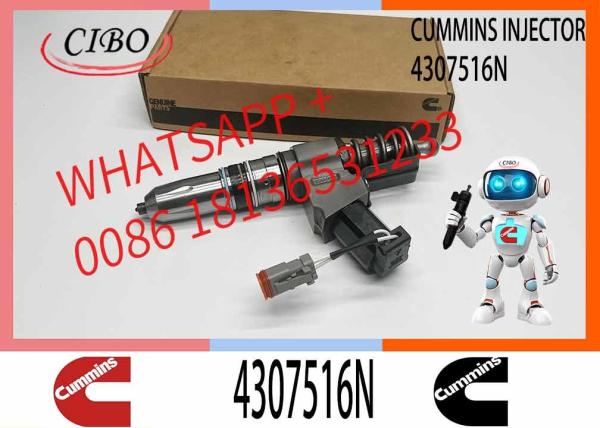 Remanufactured Quality N14 Series Fuel Injector Assy 4307516N Injector Part NO.