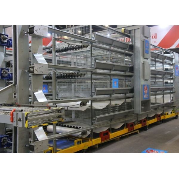 Hot Galvanized Full Automatic Poultry Feeder System Anti - Perching