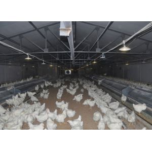 Wholesale 16 Holes Broiler Breeder Egg Nest Collection System 610mm Height from china suppliers