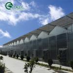 Main Structure Hot Galvanizing Aluminum Steel Prefabric Green House for Tomato