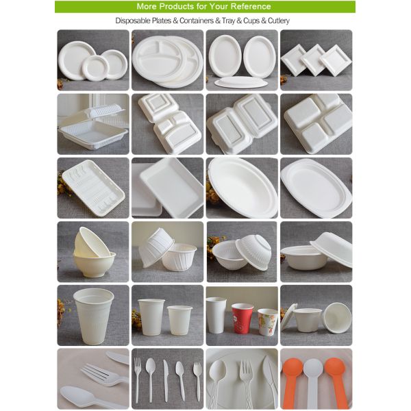 Disposable Food Container Bagasse Bread Packing Box With PET Lid