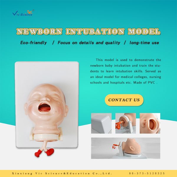 Medical Nursing Skills Training Model of Newborn Intubation Baby Model