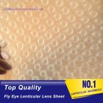 PLASTIC LENTICULAR wholesale plastic 3d fly eye lenticular sheet micro lens film