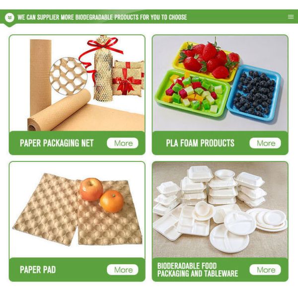 PP Mold Kraft Material Fruit Tray Liner Paper Pulp Packaging for Apples and Avocados Manufacturer