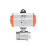Customized Request Option Pneumission 2PC Pneumatic Valve