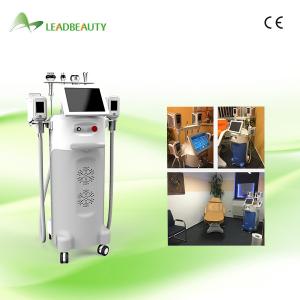 Wholesale Whole body slimming Fat Freezing Cryolipolysis slimming beauty machine from china suppliers