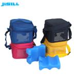 Waterproof Picnic Milk Soft Cooler Bag With Adjustable Shoulder Strap