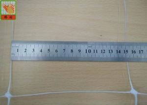 Wholesale Polypropylene Plant Support Net For Climbing Plants , White Runner Bean Netting from china suppliers