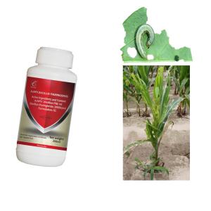 Wholesale Biological Agriculture Chemical Pesticides Used In Crops Nuclear Polyhedrosis Virus AcNPV from china suppliers