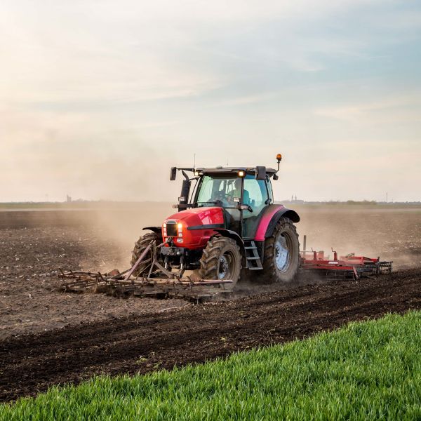 ISO9001 Certified Custom Metallurgical Hydraulic Cylinder with Adjustable Cushioning for Heavy-Duty Support