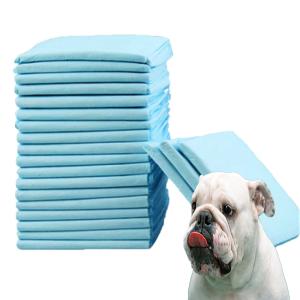 Wholesale Small Animals Pet Training Pad for Urine Absorption and Agility Training from china suppliers