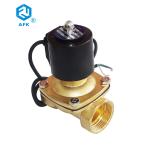 Brass IP68 Internal Thread Water Solenoid Valve 2 Inch AC220V