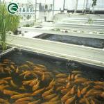 Galvanized Steel Structure Venlo Glass Greenhouse for Growing Vegetable Fruits