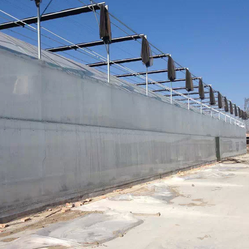 LiTai Greenhouse Multi-Span Film Agriculture Greenhouse with Steel Frame Construction