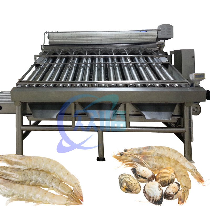 Roller Shrimp Grading Machine Multipurpose Stainless Steel Material