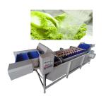 Belt Type 2T/H Vegetable Fruit Washing Machine High Pressure Spray Washing