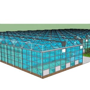 Wholesale Customized Glass-Covered Vegetable Greenhouse for Restaurant Growth from china suppliers