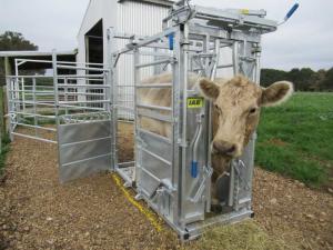 Wholesale Hot Dipped Galvanized Cattle Head Bale 40x80mm Oval Rail Heavy Duty Cattle Crush Equipment from china suppliers
