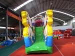 Beautiful Commercial Inflatable Water Slides , Carriage Style Blow Up Water