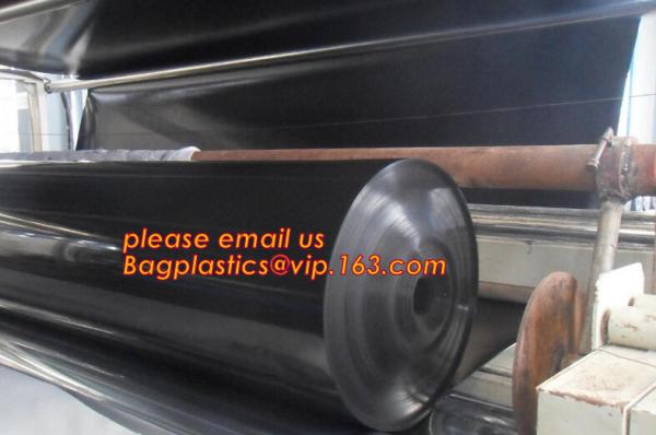 Steel plastic geogrid HDPE film HDPE LDPE geomembrane composite geomembrane