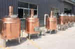 Beer Brewing Equipment Simple Operation/Mini Beer Machine/Provide Free Beer