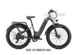 48V 500W LCD Display Electric Bike With Thick Tires Aluminum Alloy Frame